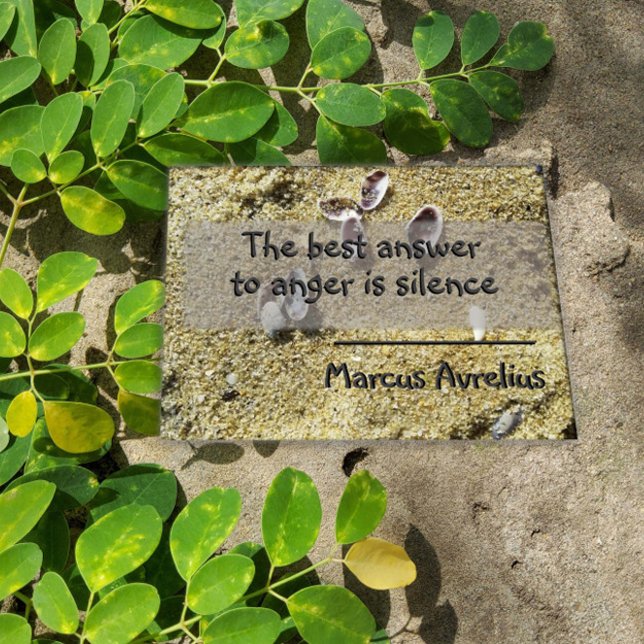 Latin quote silence philosophy poster (Creator Uploaded)