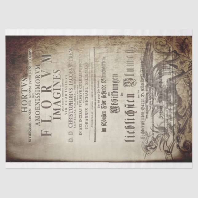 Latin scrolling tissue paper (Front)