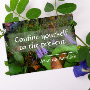 Latin wisdom quote greenery poster