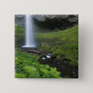 Latourell Falls, Columbia River Gorge, Oregon, Button