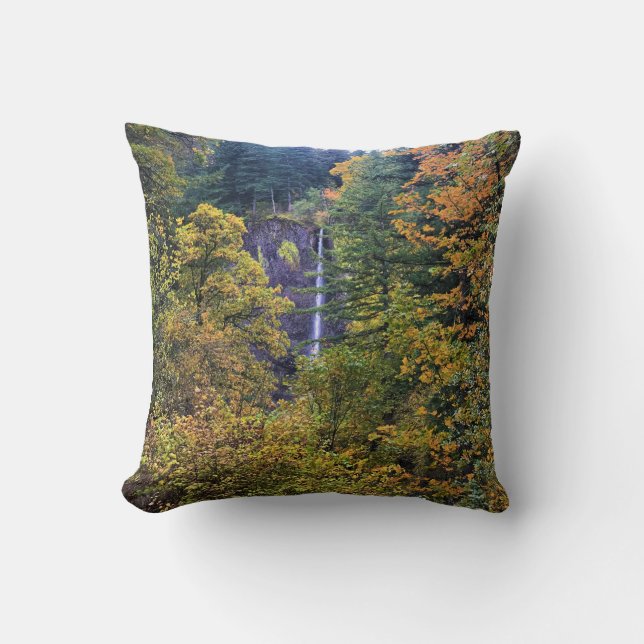 Latourell Falls, Columbia River Gorge, Oregon Throw Pillow (Front)