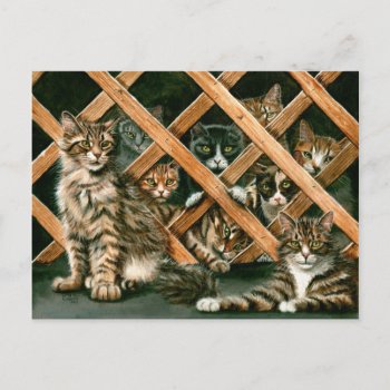 Lattice Cats Postcard by KMCoriginals at Zazzle