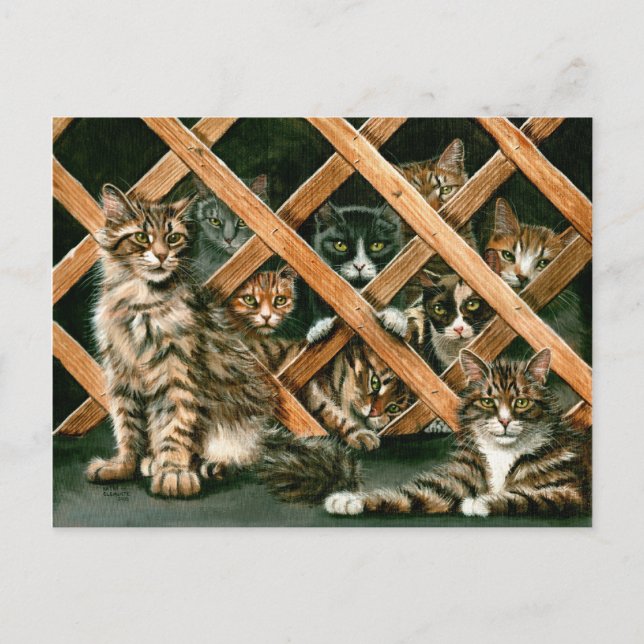 Lattice Cats Postcard (Front)