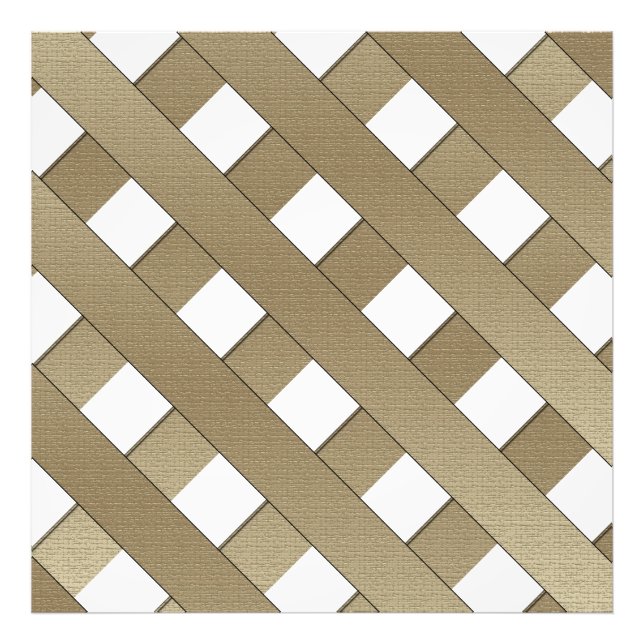 Lattice Fence by Shirley Taylor Photo Print (Front)