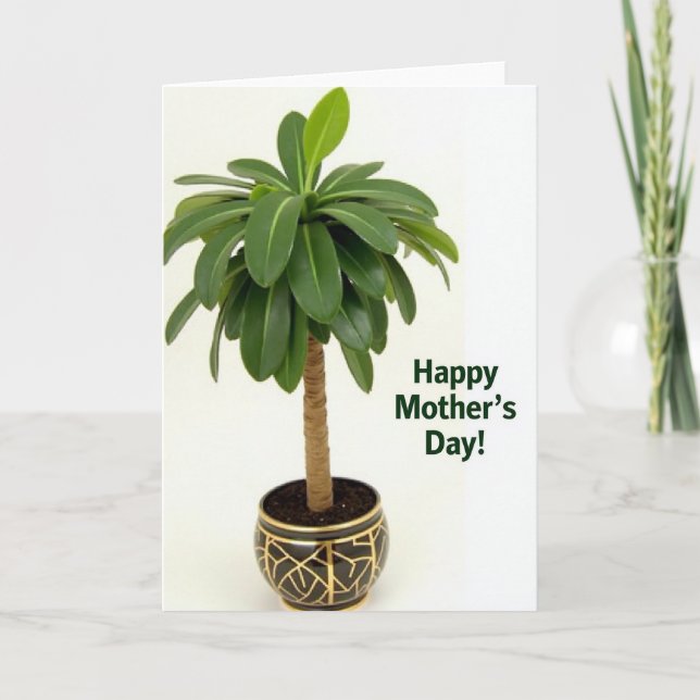 Lattice Plant Mothers Day Card (Front)