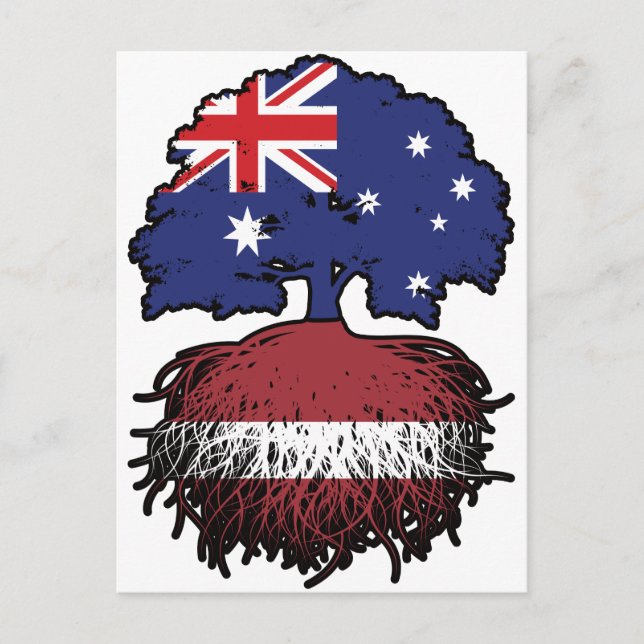 Latvia Latvian Australian Australia Tree Roots Postcard (Front)