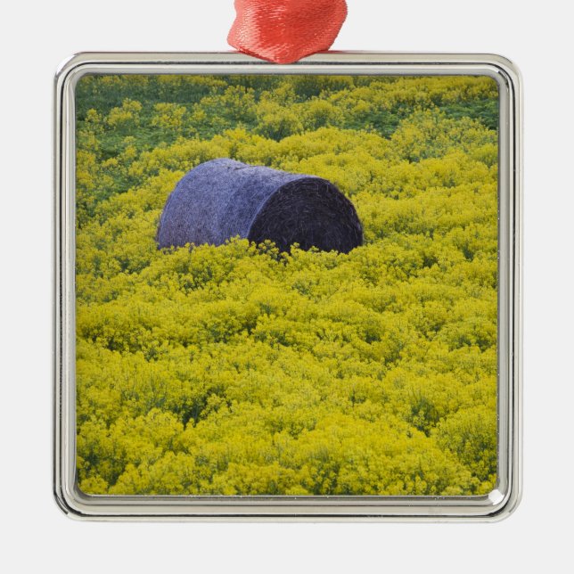 Latvia, Northeastern Latvia, Vidzeme Region, 2 Metal Ornament (Front)