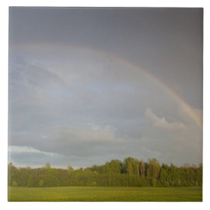 Latvia, Northeastern Latvia, Vidzeme Region, 5 Ceramic Tile