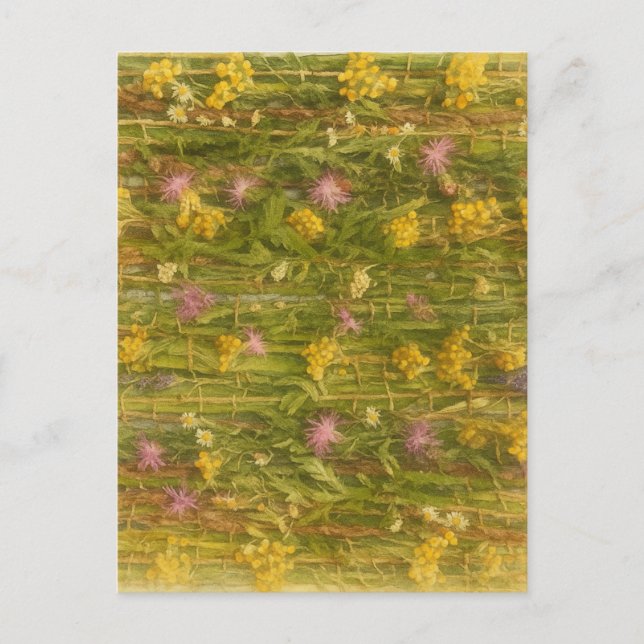 Latvian Wildflowers – Nature Preserved Postcard (Front)