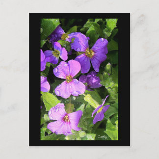 L'aubriète Postcard