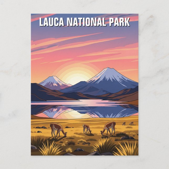 Lauca National Park Chile Travel Postcard (Front)