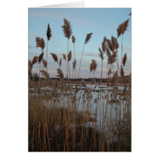 Laudholm Farm Cards