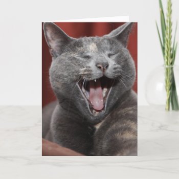 Laugh It Up This Father's Day Card by iiiyaaa at Zazzle