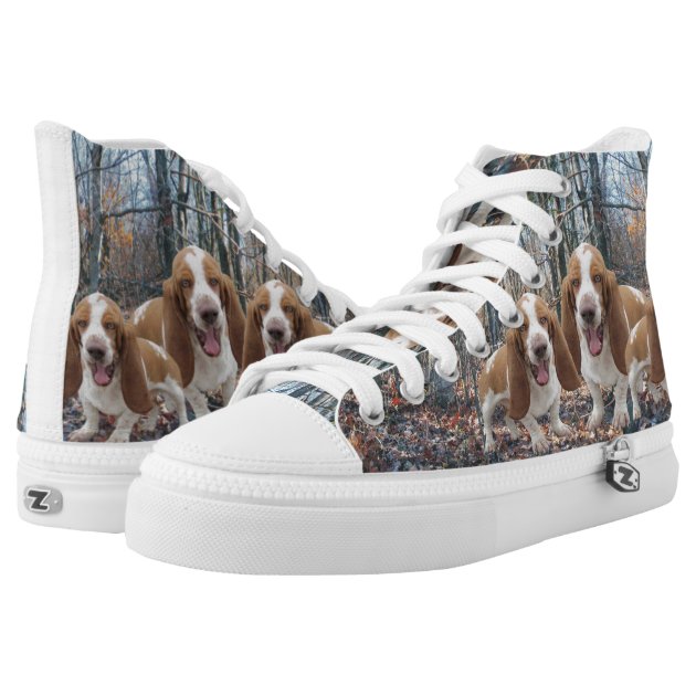 OLGCZM Cartoon Fox Bear Men Womens Thin High Ankle Casual Socks Fit Outdoor Hiking Trail