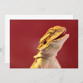 Laughing Bearded Dragon (Front/Back)