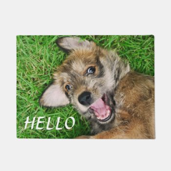 Laughing Berger Picard Dog - Personalized Hello Doormat by Kathom_Photo at Zazzle