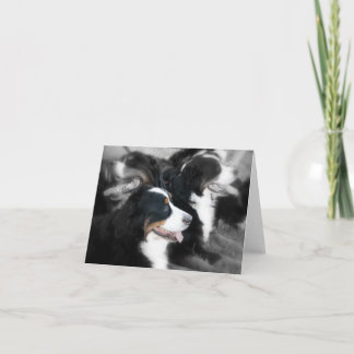 Laughing Berner Note Cards