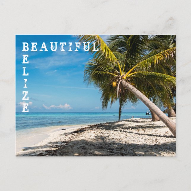 Laughing Bird Caye - Belize Postcard (Front)