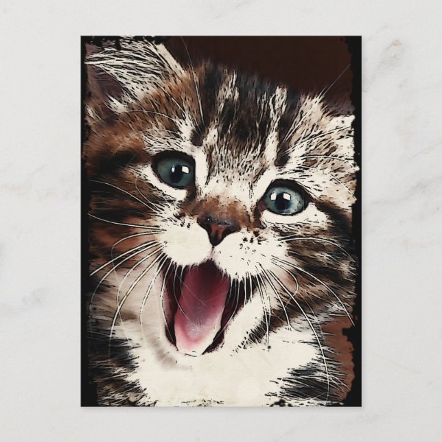 Laughing Cat Postcard (Front)