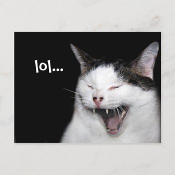 Laughing Cat Postcard by deemac1 at Zazzle