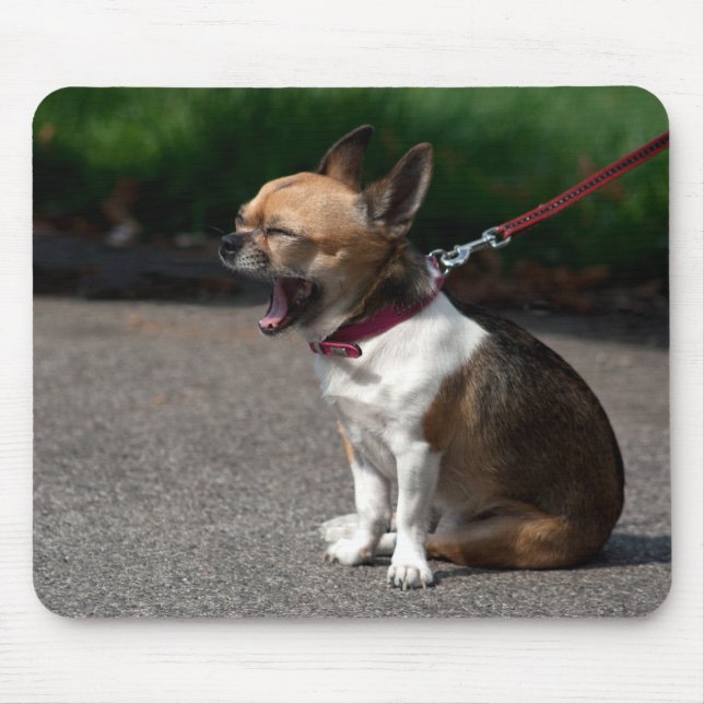 Laughing Chihuahua Mouse Pad (Front)