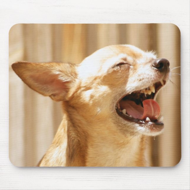 Laughing Chihuahua Mouse Pad (Front)