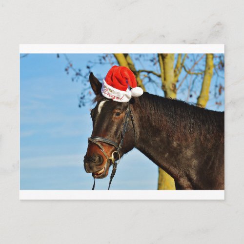 Laughing Christmas Horse Holiday Postcard