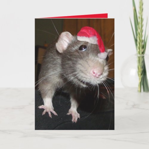 Laughing Christmas Rat Greeting Card