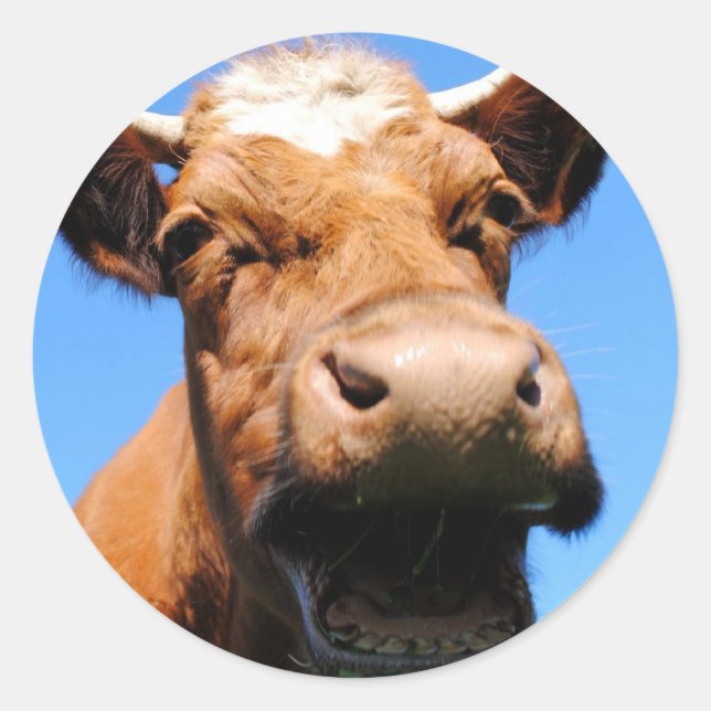 laughing cow classic round sticker (Front)