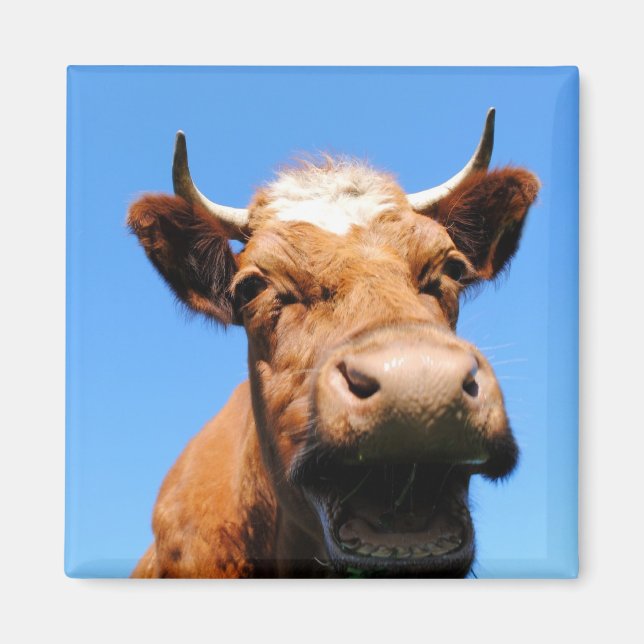 laughing cow magnet (Front)