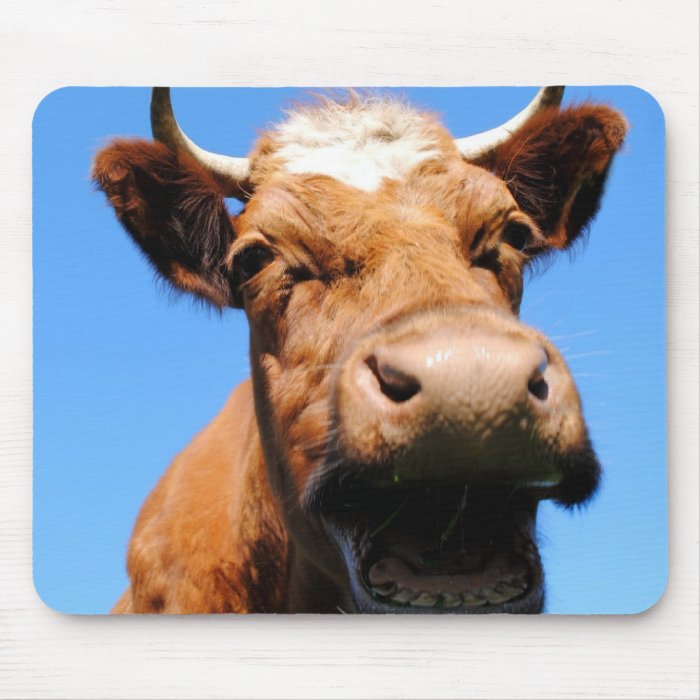 Laughing cow mousepads