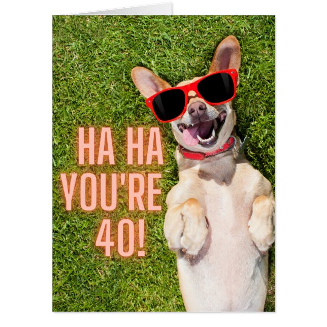Laughing Dog 40th Birthday BIG Card (Front)