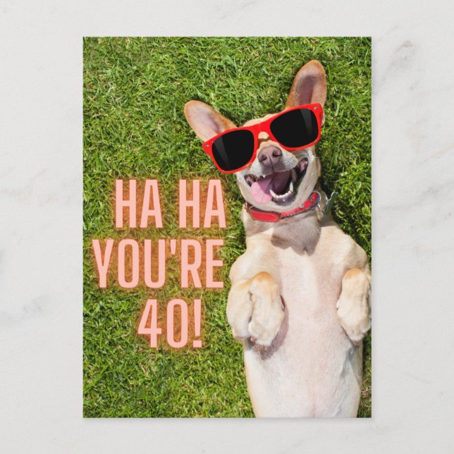 Laughing Dog 40th Birthday  Postcard (Front)