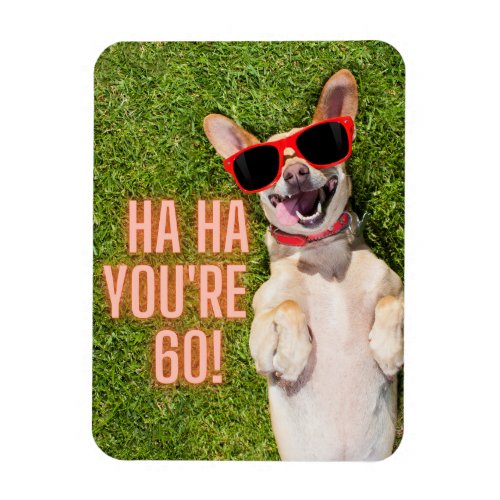 Laughing Dog 60th Birthday  Magnet