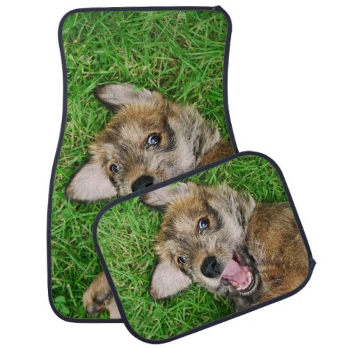Laughing Dog Berger Picard Puppy Funny Photo _ Car Floor Mat
