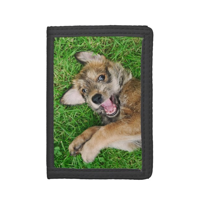 Laughing Dog Berger Picard Puppy, Purse Tri-fold Wallet (Front Vertical)