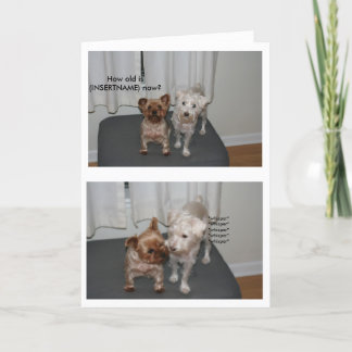 Laughing Dog Birthday Card