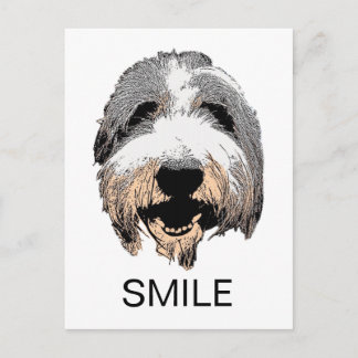 Laughing Dog SMILE Postcard