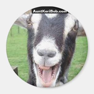 Laughing goat magnet