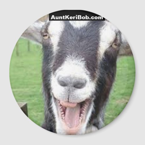 Laughing goat magnet