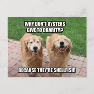 Laughing Golden Retriever Funny Shellfish Joke Postcard