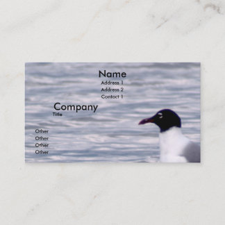 Laughing Gull Business Card