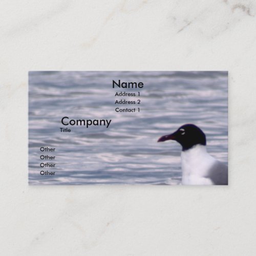 Laughing Gull Business Card