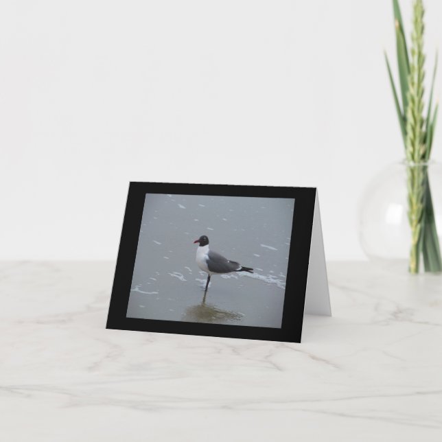LAUGHING GULL ON THE BEACH NOTE CARD (Front)