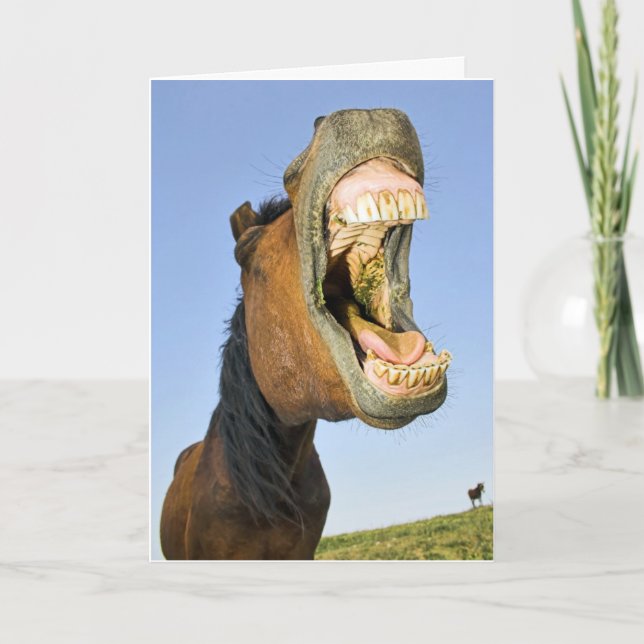 Laughing Horse Birthday Card (Front)