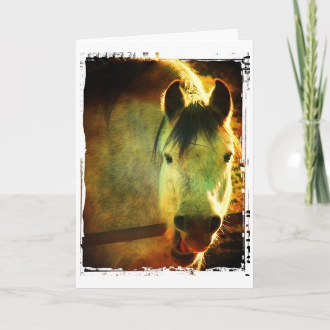 Laughing Horse, Birthday Card (Front)