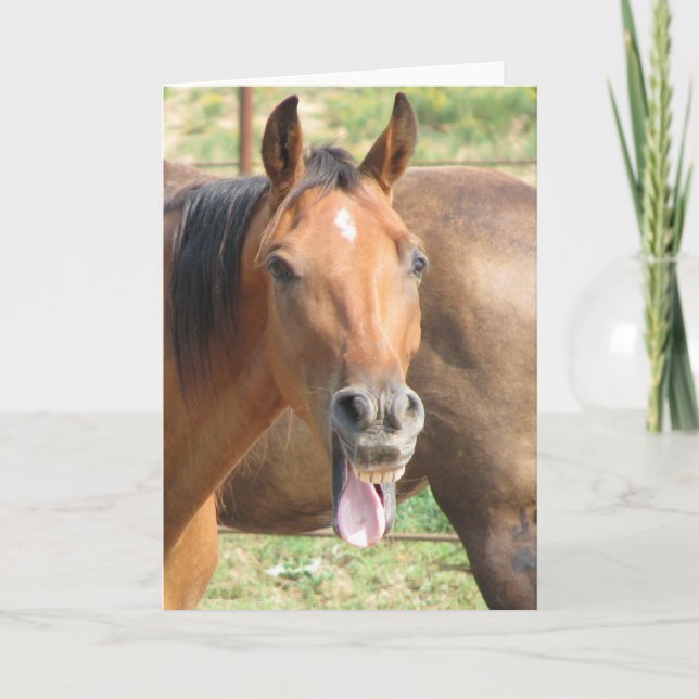 Laughing Horse Card (Front)