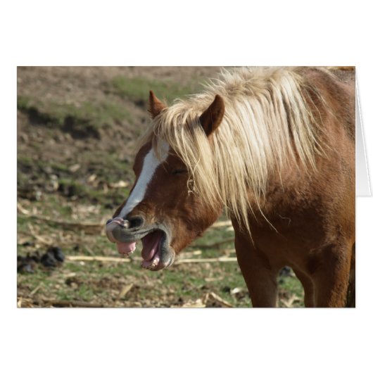 Laughing Horse Cards (Front Horizontal)