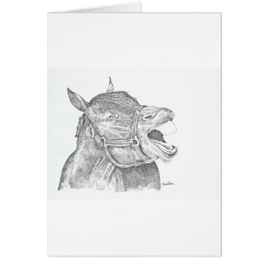 Laughing Horse Cards (Front)