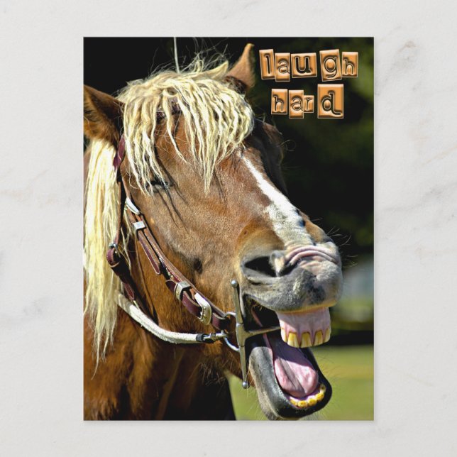 Laughing Horse Post Card (Front)